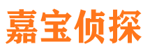 铁山港市侦探公司